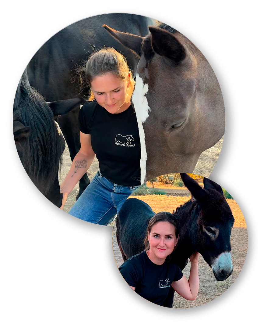 Gabriela a caballo y con burritos