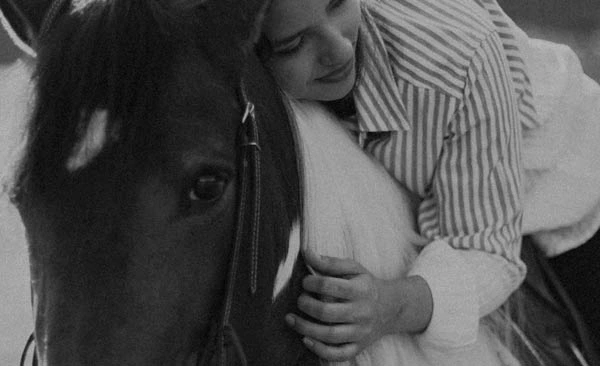 Imagen de Meditación asistida con caballos