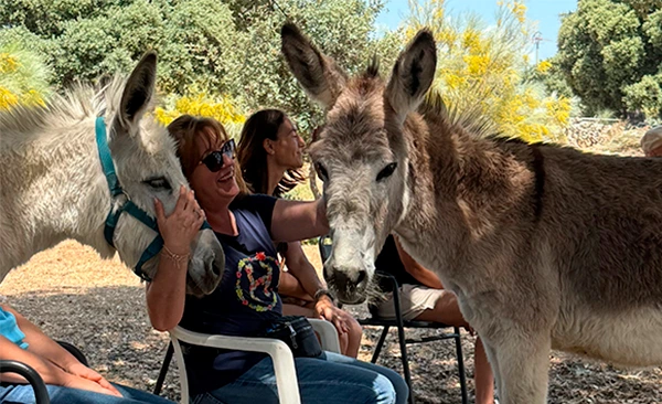 Imagen de talleres con burros
