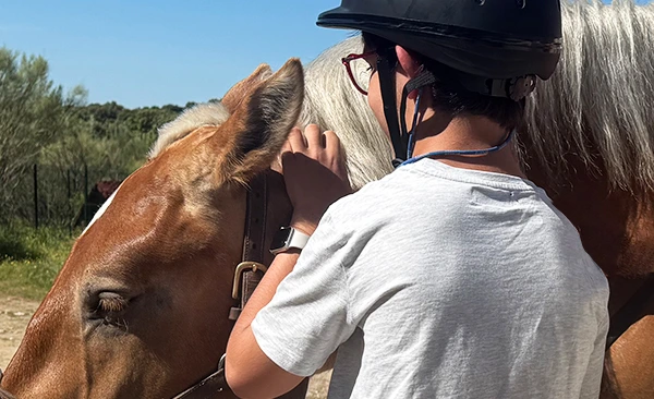 Imagen de Equitación terapéutica adaptada