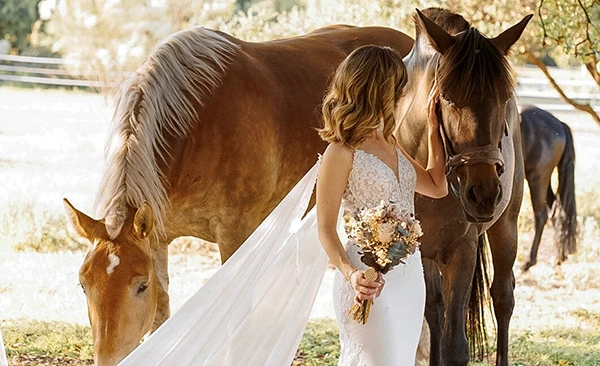 Imagen de Fotografías Profesionales con Caballos