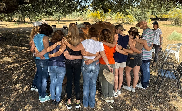 Imagen de Team Building con caballos para empresas en Madrid