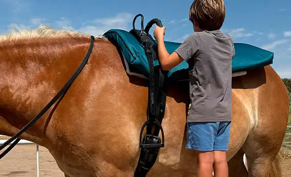 Imagen de Equitación terapeutica adaptada